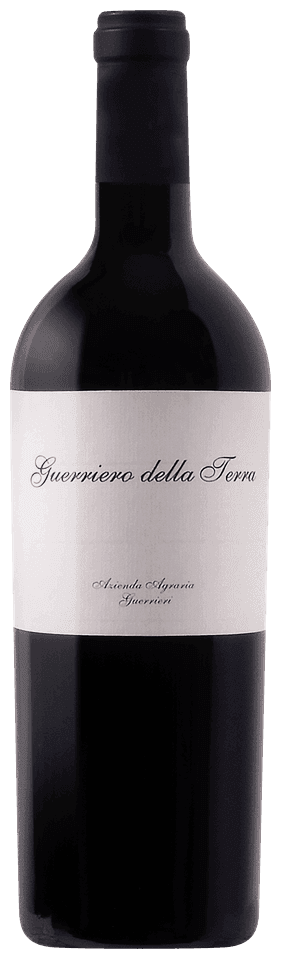 Guerriero Della Terra