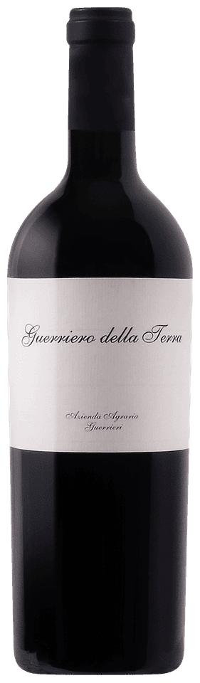 Guerriero Della Terra